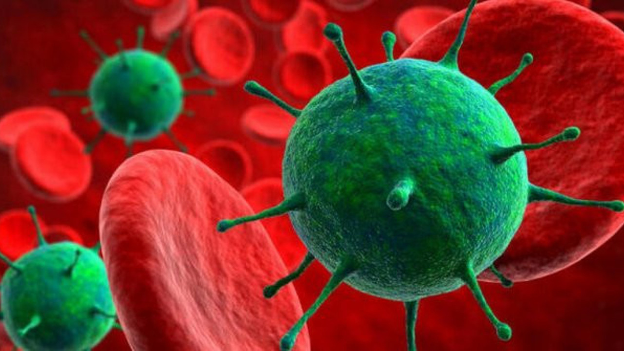 Dünyayı şok edecek gizli korona virüs belgeleri. Tam tamına 117 sayfa