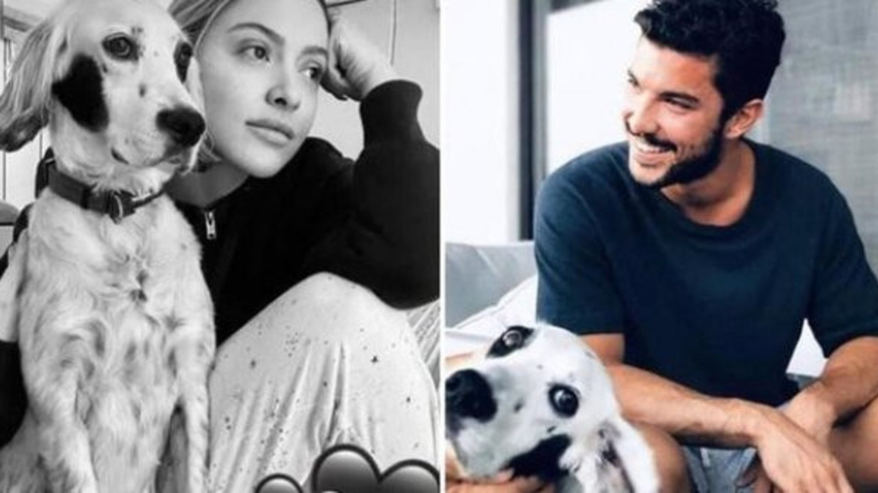 Hadise ile Kaan Yıldırım çiftinden kötü haber