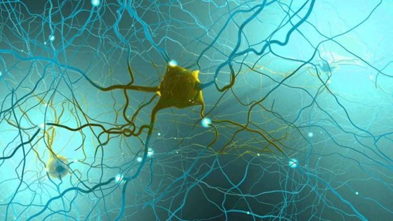 Koronada en çok görülen belirtinin kaynağı ortaya çıktı. Nedeni bir türlü bulunamıyordu