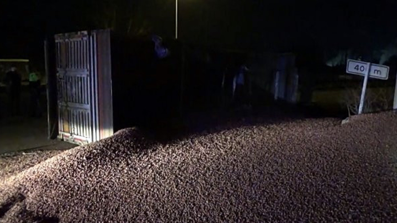 Düzce'de TIR devrildi, yol fındık bahçesine döndü