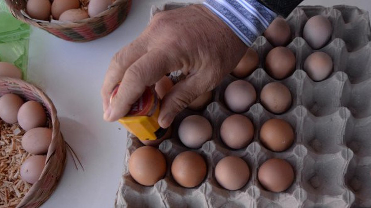 Köy yumurtasındaki büyük hileyi açıkladı. En yetkili isim uyarı üstüne uyarı yaptı