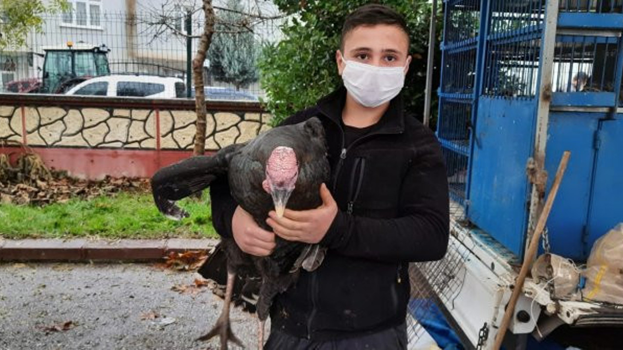 Korona bu işi de etkiledi. Yılbaşına bir ay kala satışa çıktı ama alan yok