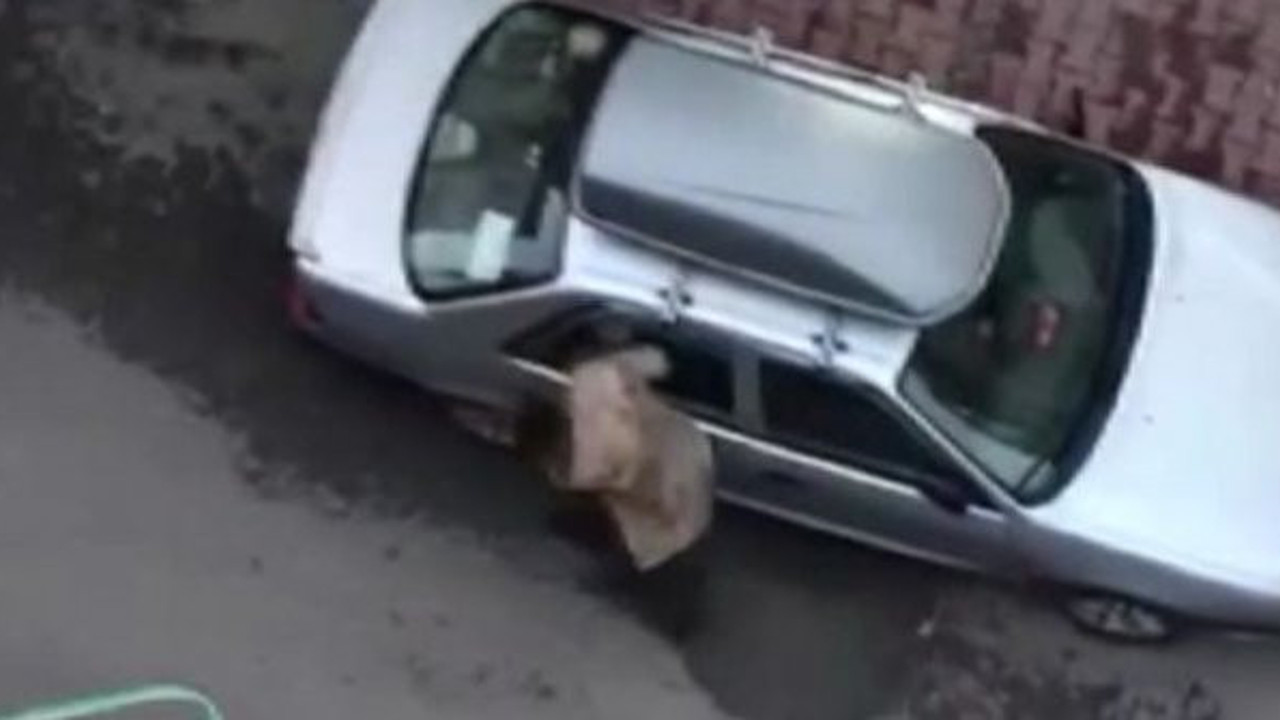 Arabaların camlarını kafa atarak kırdı