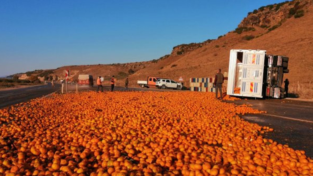 Hatay'da TIR devrildi. 15 ton mandalina yola saçıldı