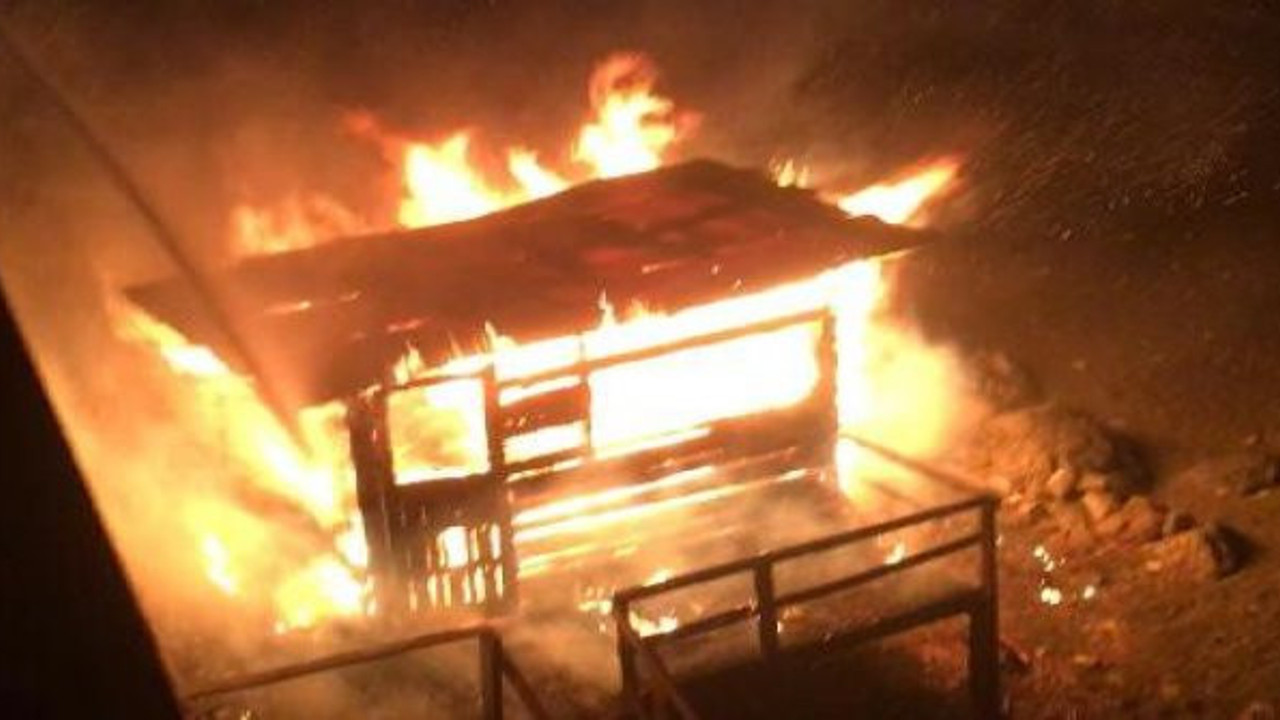 Trabzon'da balıkçı barınağı cayır cayır alev aldı