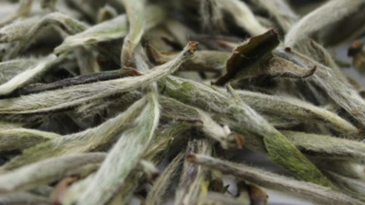 Grip ve soğuk algınlığına derman oluyor. Hastalık savar besinler şifa deposu