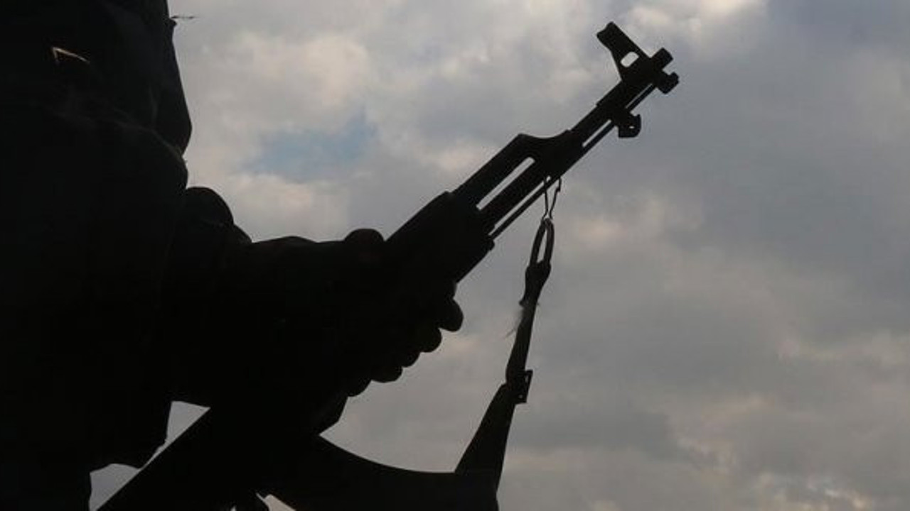 Van'da iki PKK'lı terörist teslim oldu