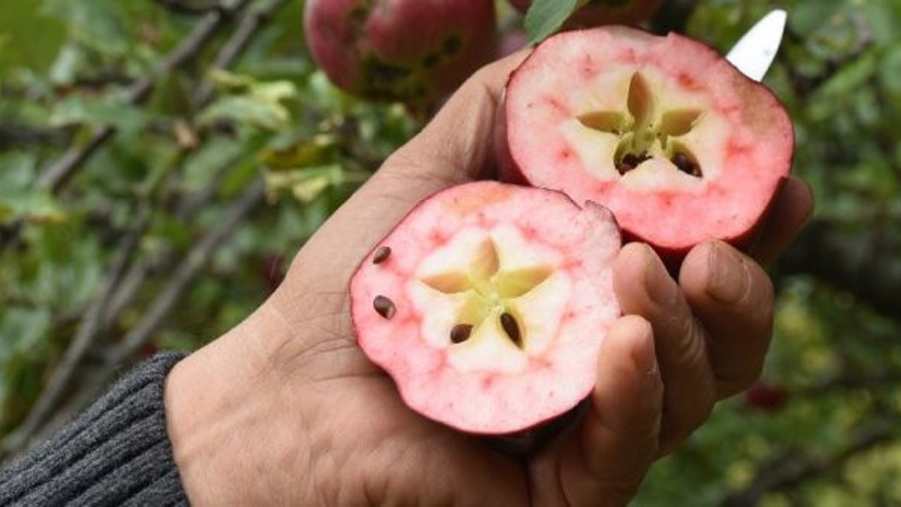 Vücudun günlük vitamin ve mineral ihtiyacını karşılıyor. Siparişlerde patlama yaşandı