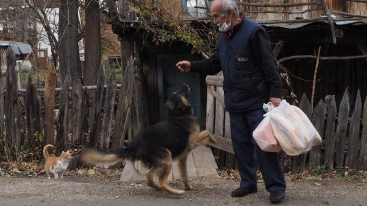 Hayvanların sevgilisi Satılmış İncedere, kedi ve köpekleri beslemek için her gün 10 kilometre yürüyor