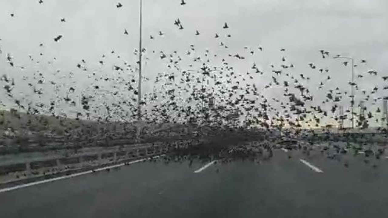 Ankara otobanında inanılmaz olay. Sürücüler şoka uğradı. Sonunda olacağı buydu