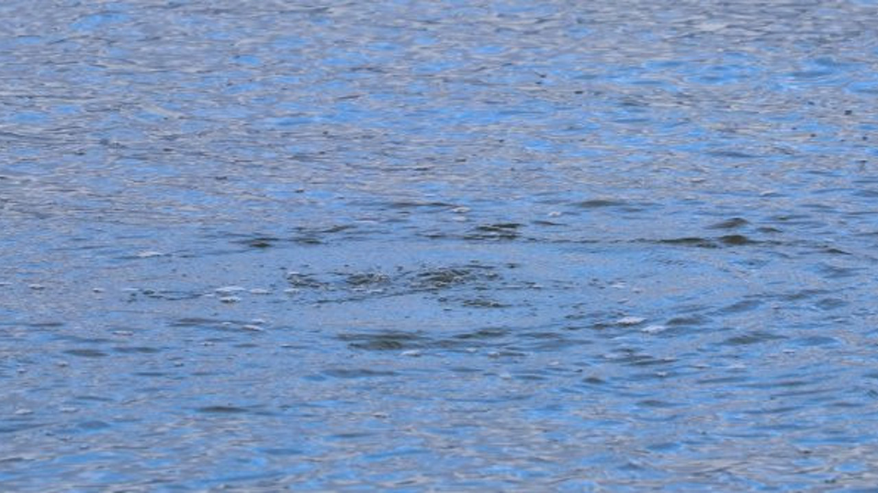 Uykuları kaçıran deprem iddiaları. Uzmanlar sebebini bulmaya çalışıyor