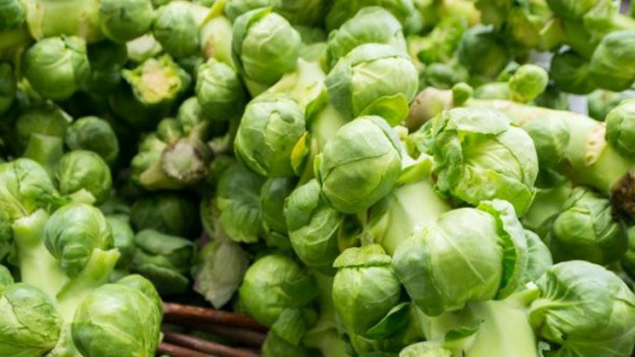 Korona virüse duvar örüyor insanı zımba gibi yapıyor. Karaciğeri yeniliyor, zararlı toksinleri atıyor