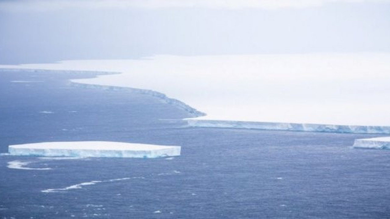 Bu adadaki canlılar tehlike altında, buzdağının çarpmasına az kaldı