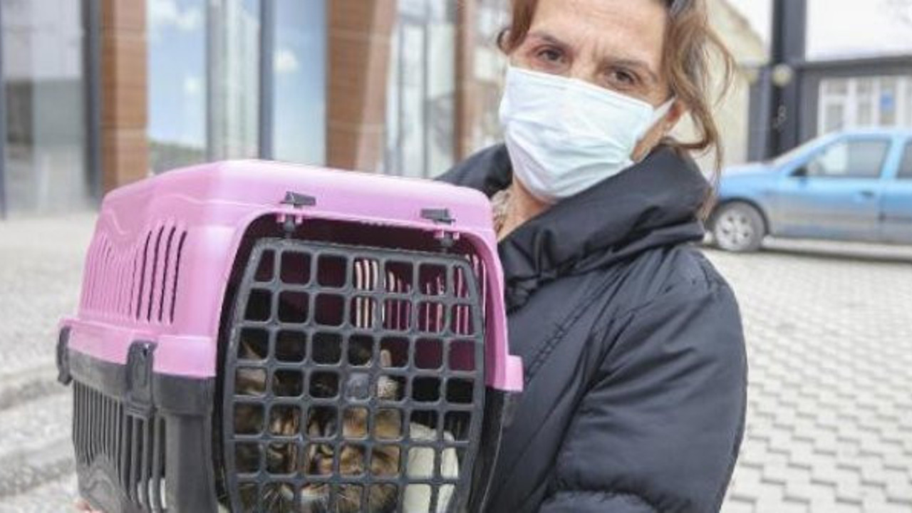 Bilim Kurulu Üyesi Deniz Ayaz verilerle gerçeği açıkladı, Dünya Hayvan Sağlığı Örgütü'nün açıklaması endişe yaratmıştı