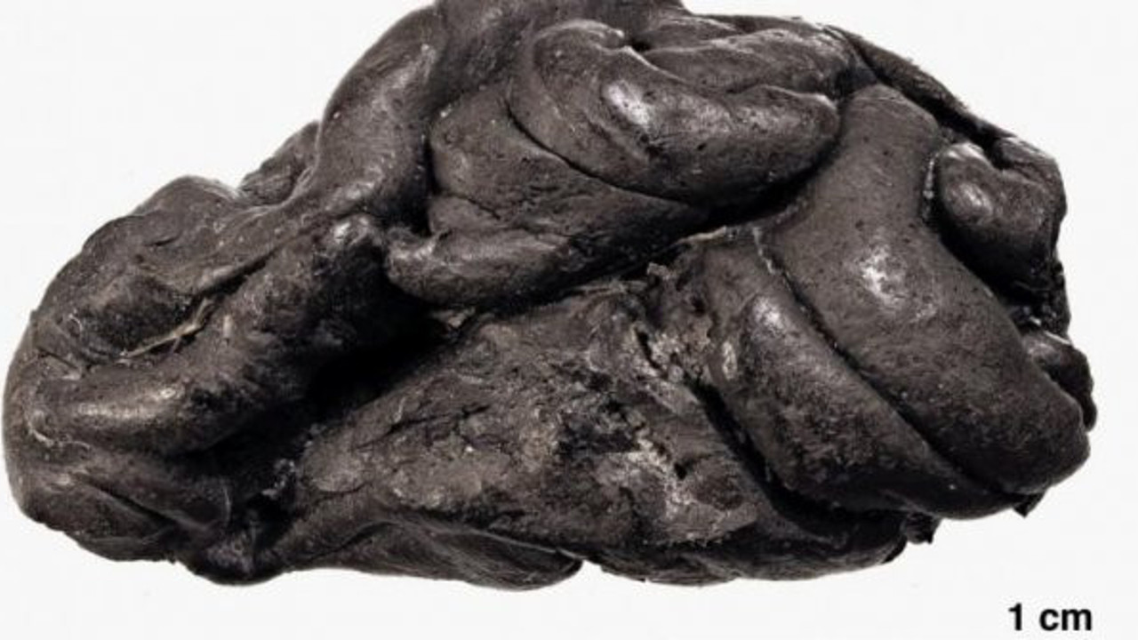 Sakız çiğneyen insanın 6 bin yıl sonra şeceresini çıkardılar