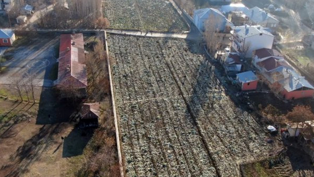 Yasakta top oynayan çocuklar polisi görünce saniyeler içinde kaçtı