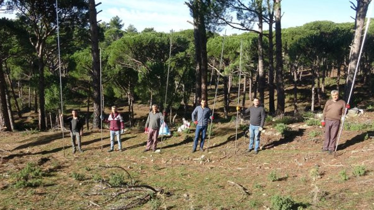 Yerli Tarzanların günlüğü 500 TL. Fiyatı altınla yarışıyor