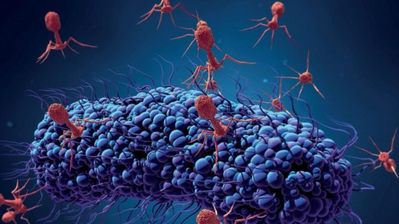 Mutasyonlu korona anında bulaşıyor jet gibi yayılıyor. Avrupa'dan sonra başka kıtaya sıçradı