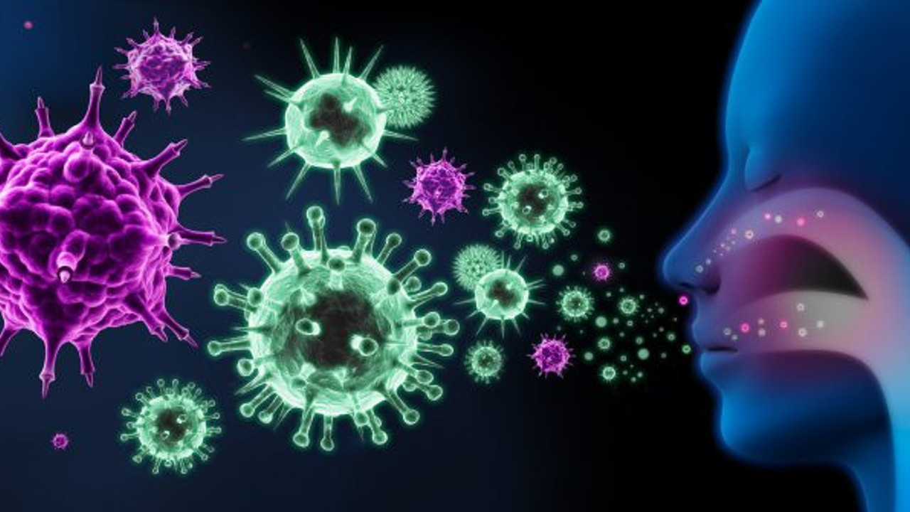 Ebolayı keşfeden profesör koronadan daha ölümcül virüsü buldu. Büyük tehlike kapıda. Hızla yayılıyor