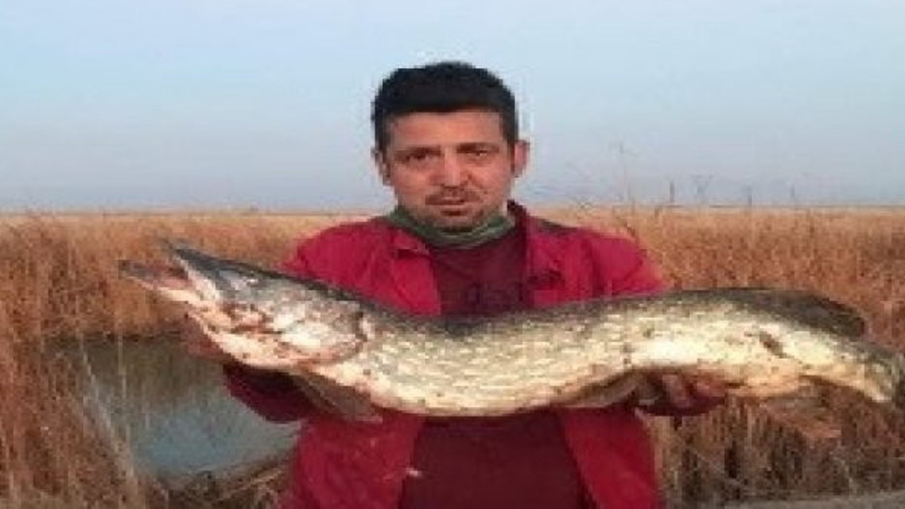 Kayseri'de özel oltayla dev turna balığı yakaladı