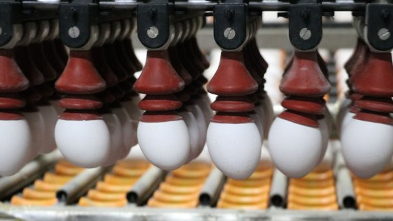 Fiyatları fırlayan yumurtada yeni açıklama