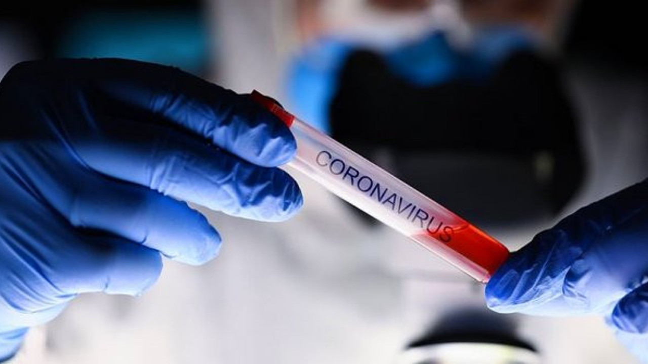 Daha bulaşıcı ve ölümcül olan virüs İspanya ve Kanada'ya da sıçradı