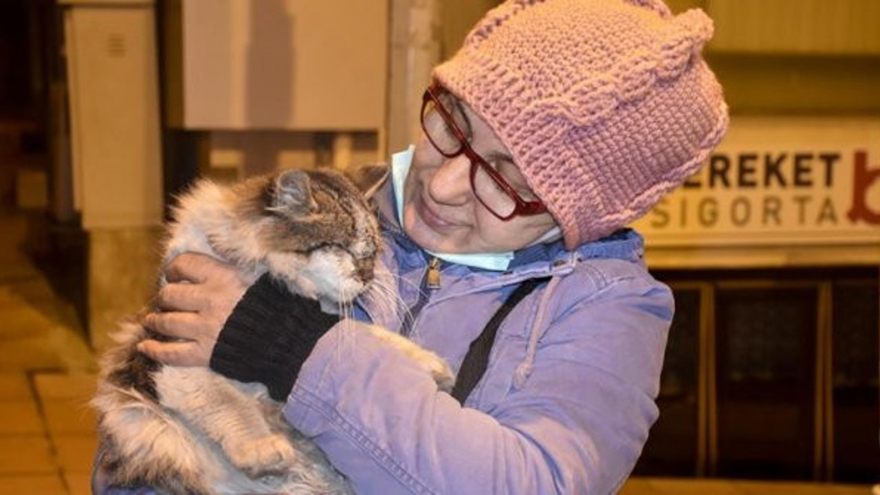 Sokak hayvanlarının iyilik meleği. 20 yıldır sokak sokak gezip onları besliyor