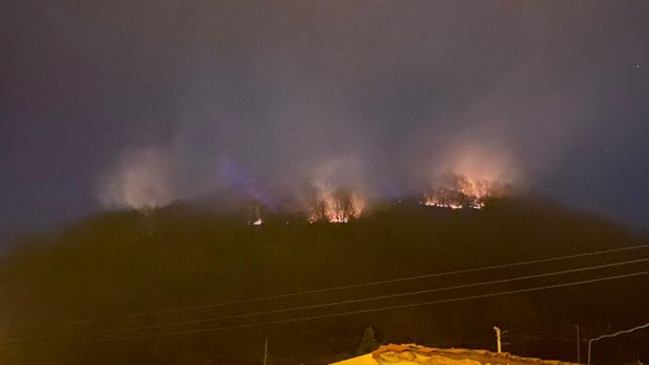 Ordu'da ormanlık alanda yangın çıktı