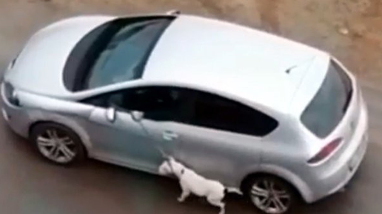 İfadesi şaşırttı.Görüntüler tepki görünce yakalandı