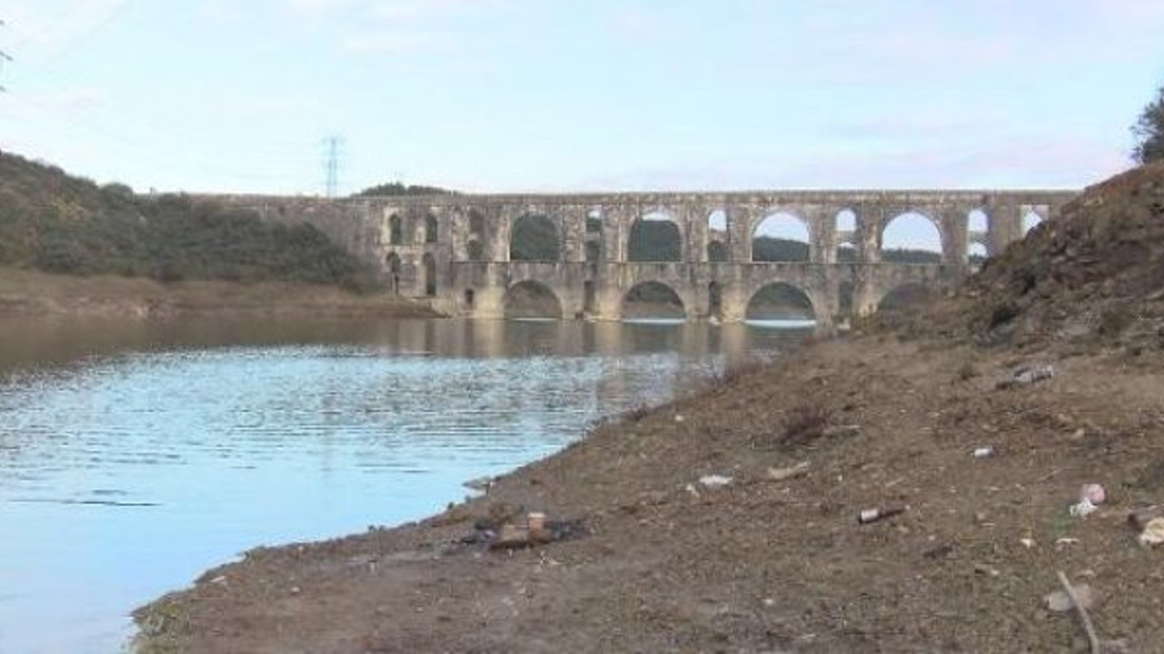 Türkiye için korkutan uyarı kabus her yeri saracak. Batı Nil Virüsü, Zika, Sıtma
