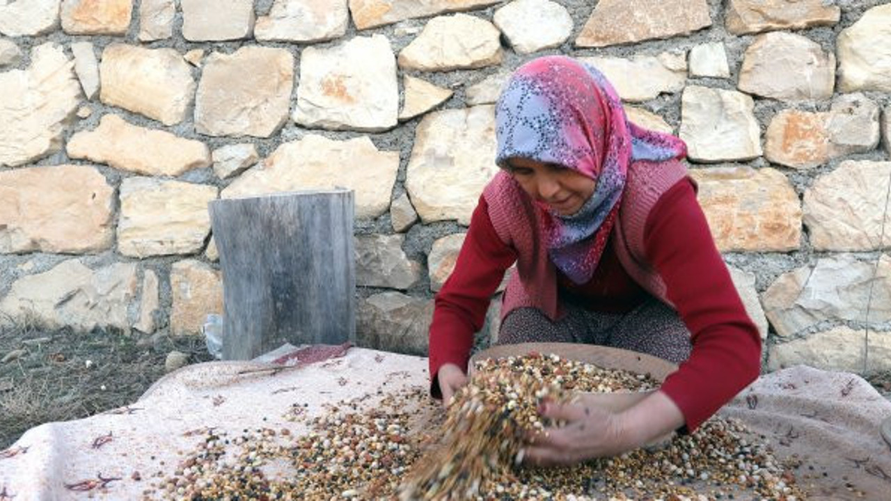 Mersin'in kavurgası soğuktan koruyor öksürüğü jilet gibi kesiyor. Yarım avucu birçok derde deva