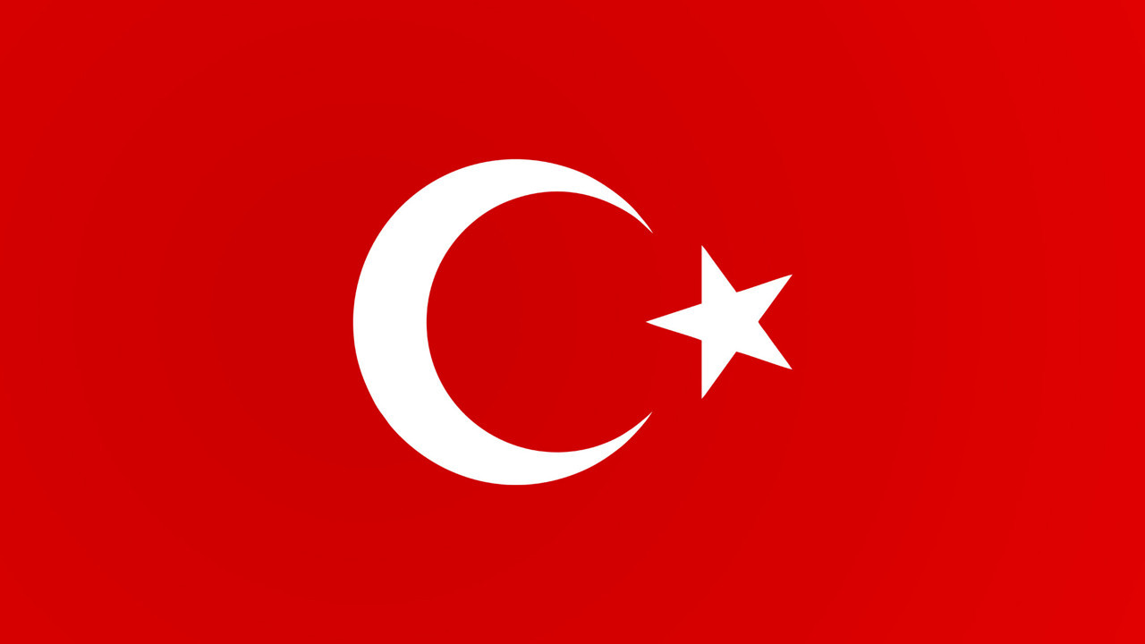 Türk bayrağına zarar veren şüpheli gözaltına alındı