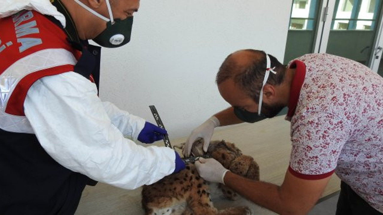 Türkiye’de ilk kez gerçekleştirildi