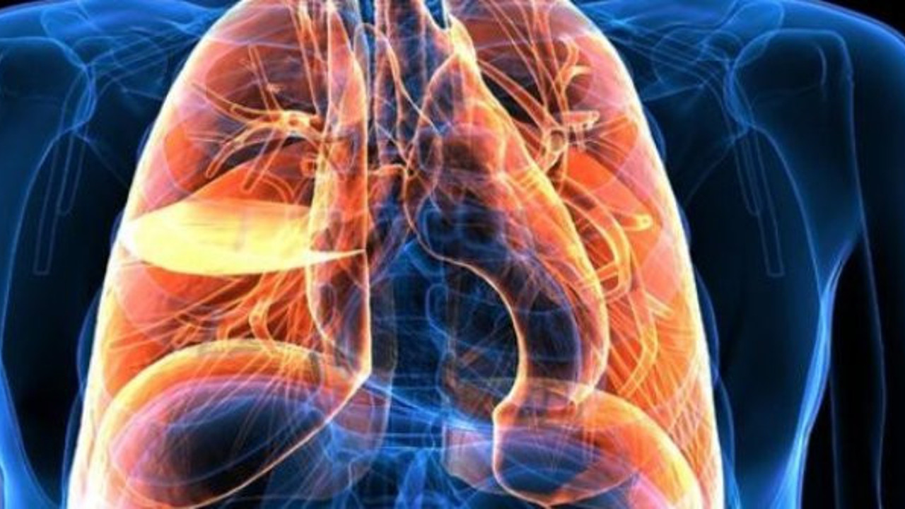 Doç. Dr. Öztürk 1.1 milyar kişiyi bekleyen büyük tehlikeyi açıkladı. Ölüm hızını 14 kat artırıyor