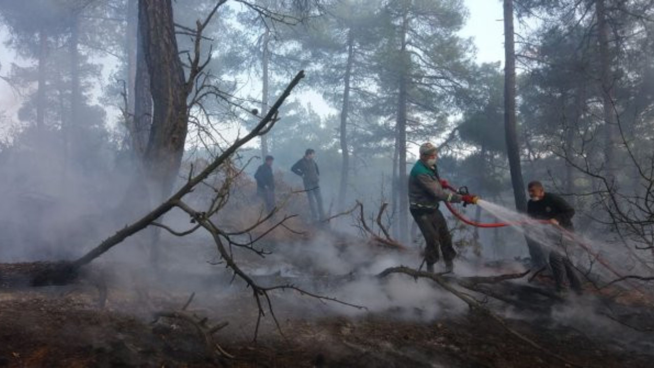 Bursa'da örtü yangını (02 Ocak 2021)