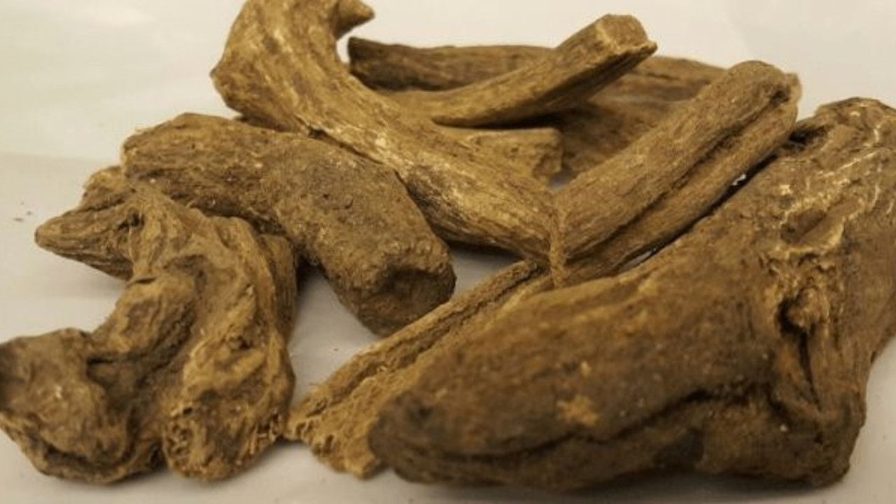 Dünyanın en güçlü doğal antibiyotiği