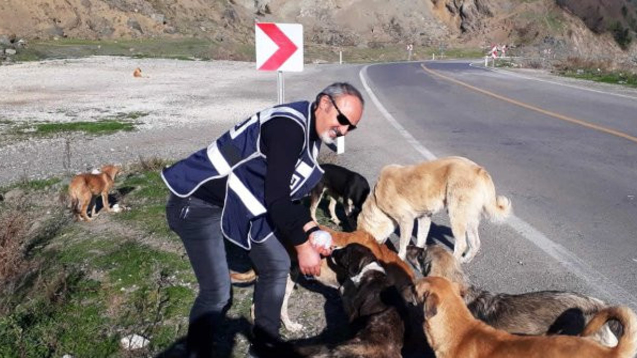 Türk polisi yasaklarda aç kalan hayvanları unutmadı