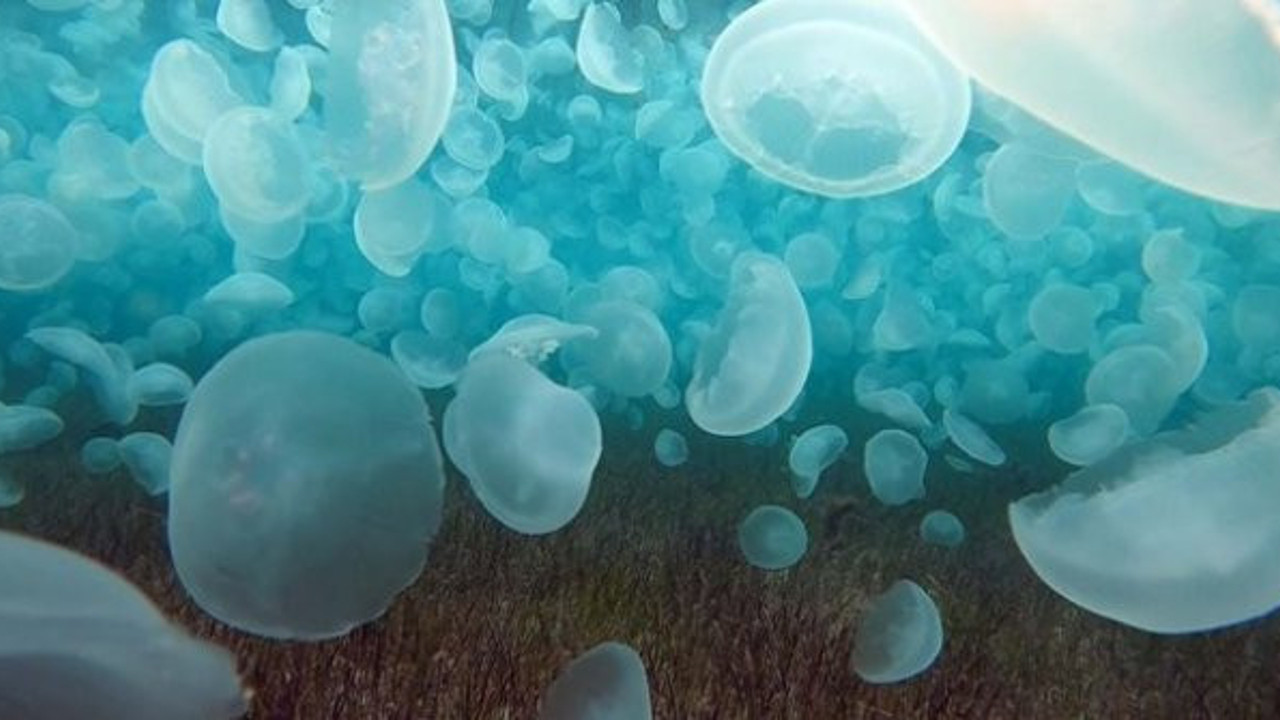 Çanakkale Boğazı'nda ürkütücü manzara. Normal bir durum değil