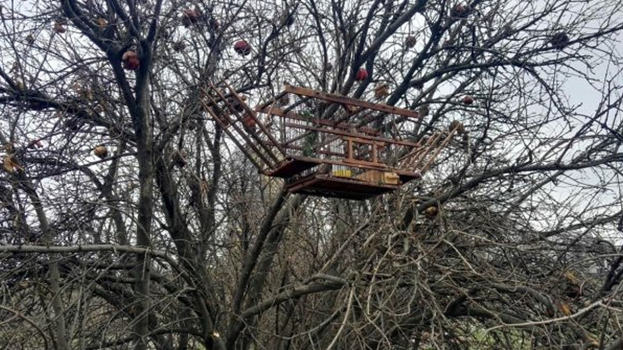 Saka avcılarını polis bastı