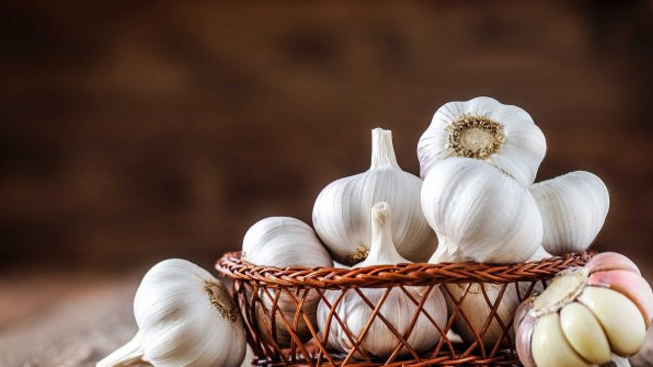 Kan şekerini hazır ola geçiriyor. Tam bir doğa mucizesi. Kanserin düşmanı