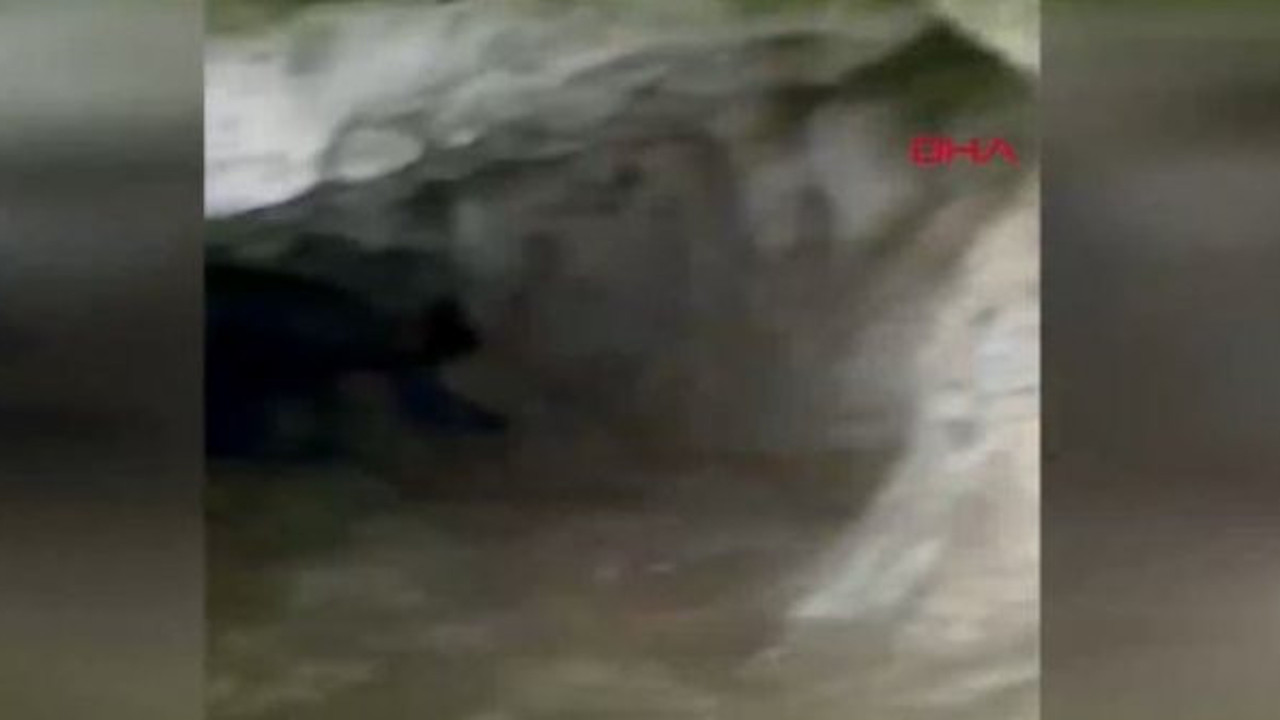 Malatya'da mağarada görüntülenince çığlık çığlığa kaçtı. Malatya esrarengiz yaratığın peşine düştü