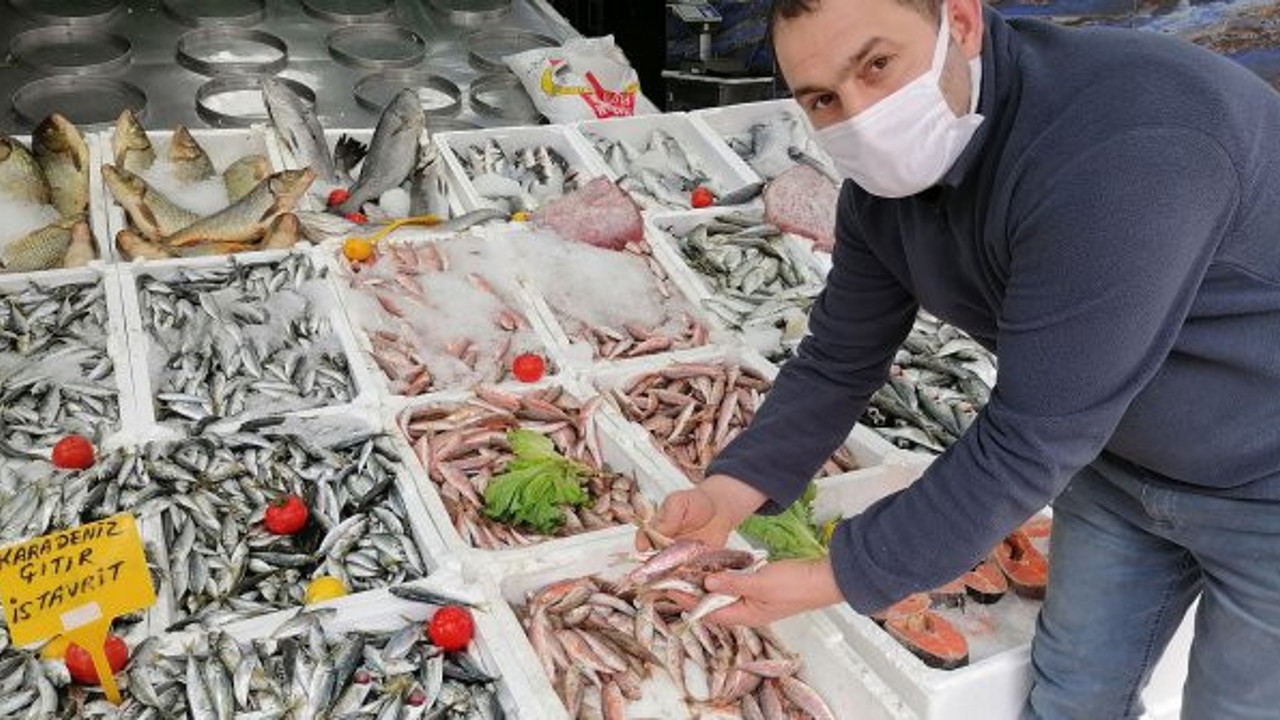 Hamsi yasaklandı yerini istavrit ve barbun aldı
