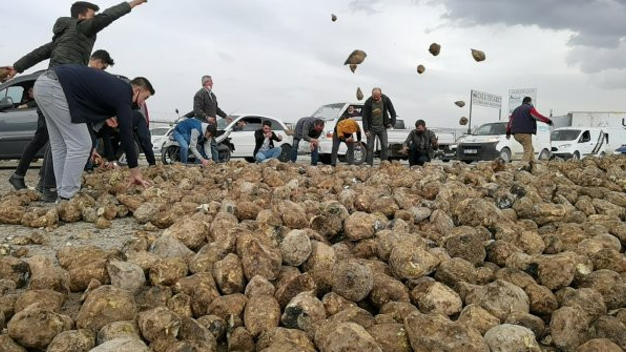 30 ton pancar yola saçıldı