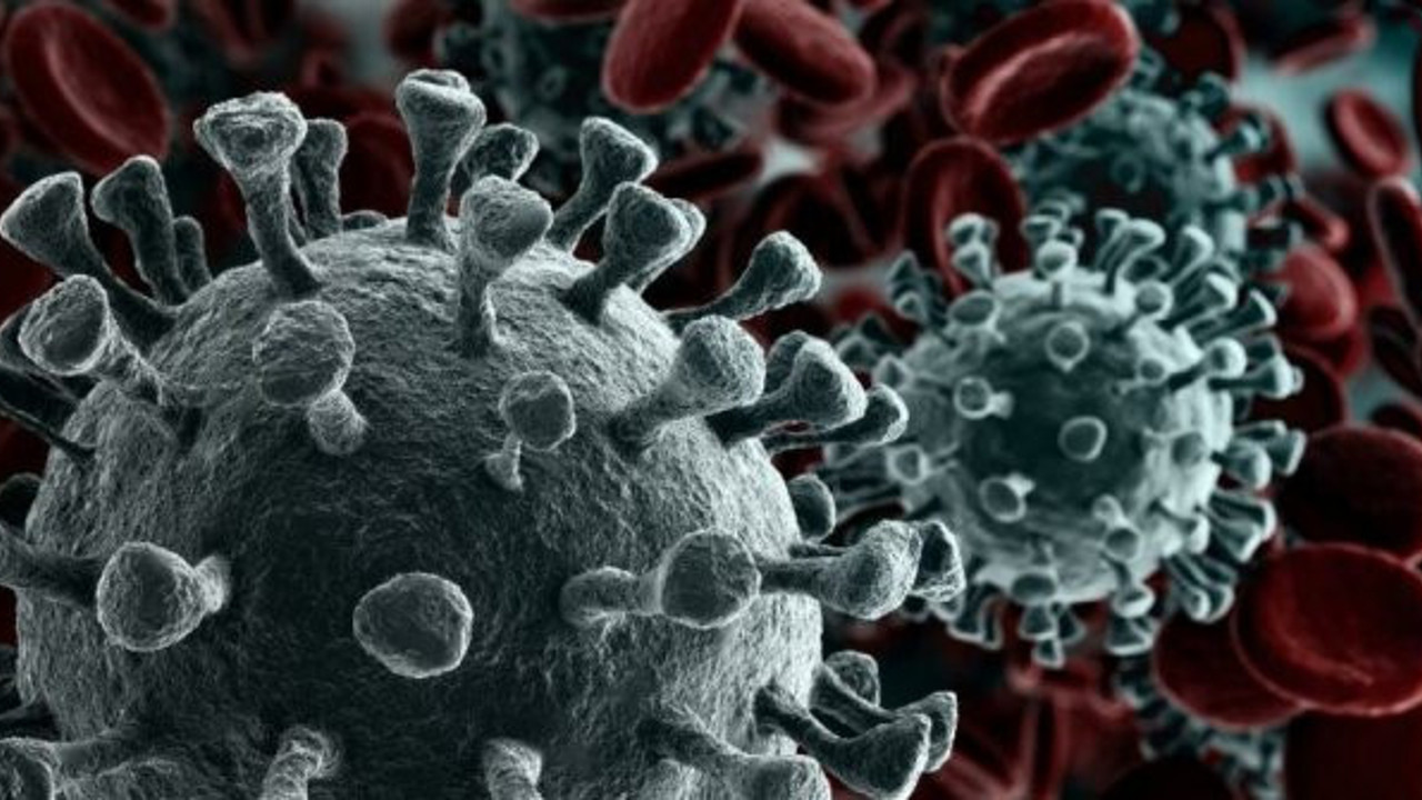 Dünya Sağlık Örgütü açıkladı. Ne kadar çok yayılırsa mutasyon şansı yüksek