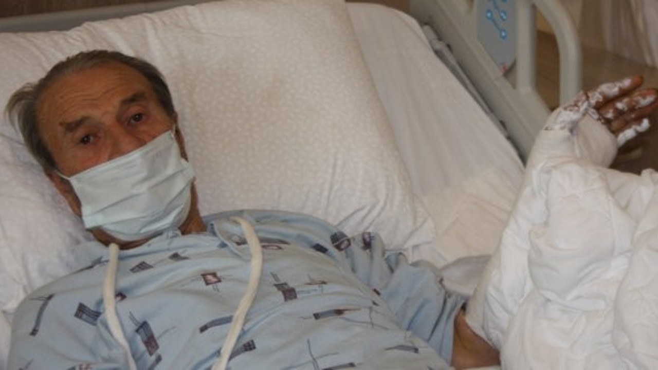 Edirne'de 76’lık dede ormanda dehşeti yaşadı. Ölümün pençesinden köpekler kurtardı