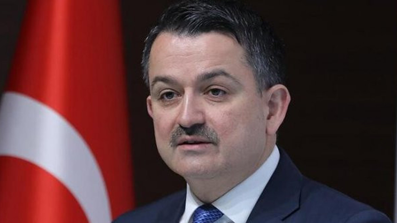 Tarım ve Orman Bakanı Bekir Pakdemirli'den flaş hamsi açıklaması. Yasak devam edecek mi