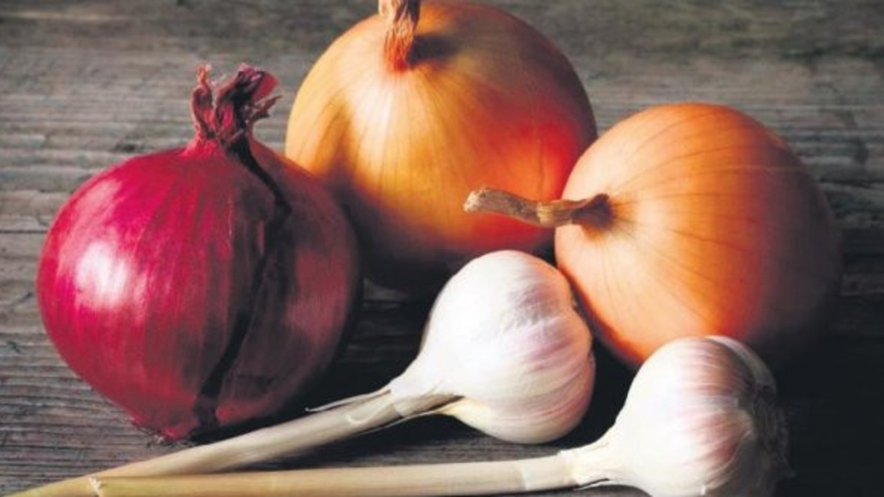 Elitlere Alman Aşısı 1.5 milyona Çin Aşısı biz yine kaldık sarımsağa sirkeye. Çin aşısının etkisi de ancak yüzde 50