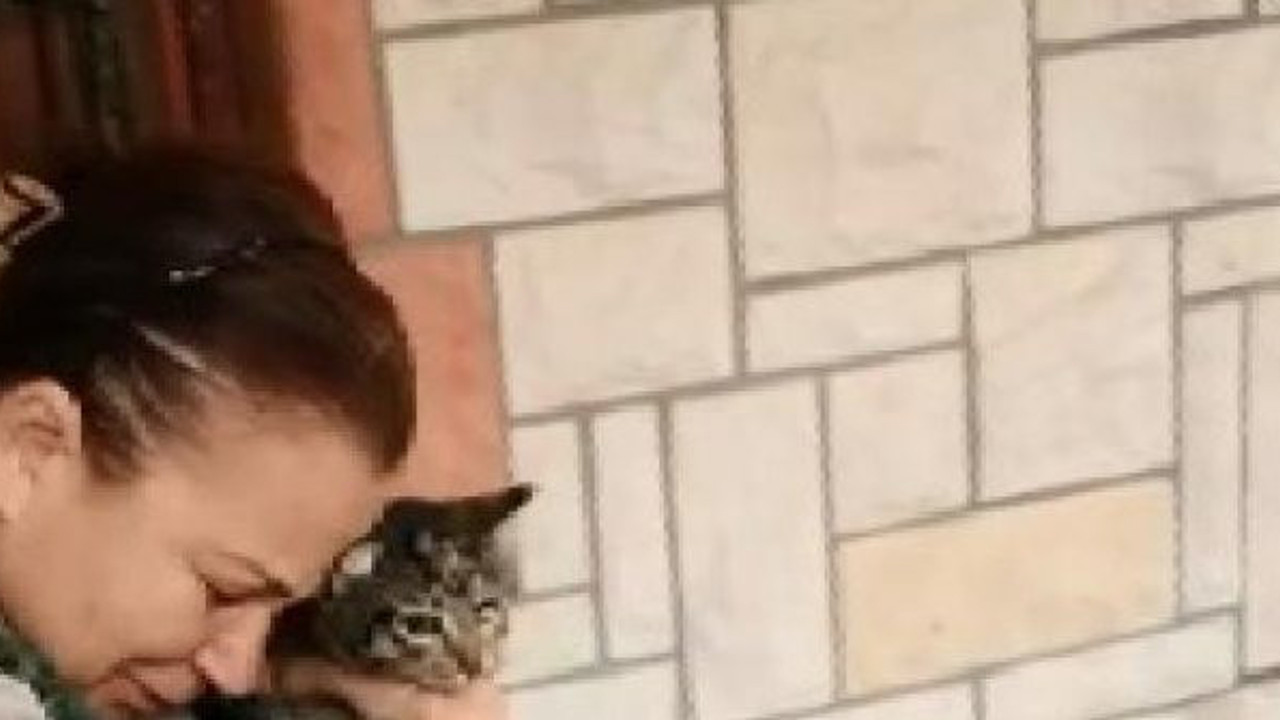 Adana’da vahşet. Kedisini veterinere götürdü. Döndüğünde hayatının şokunu yaşadı