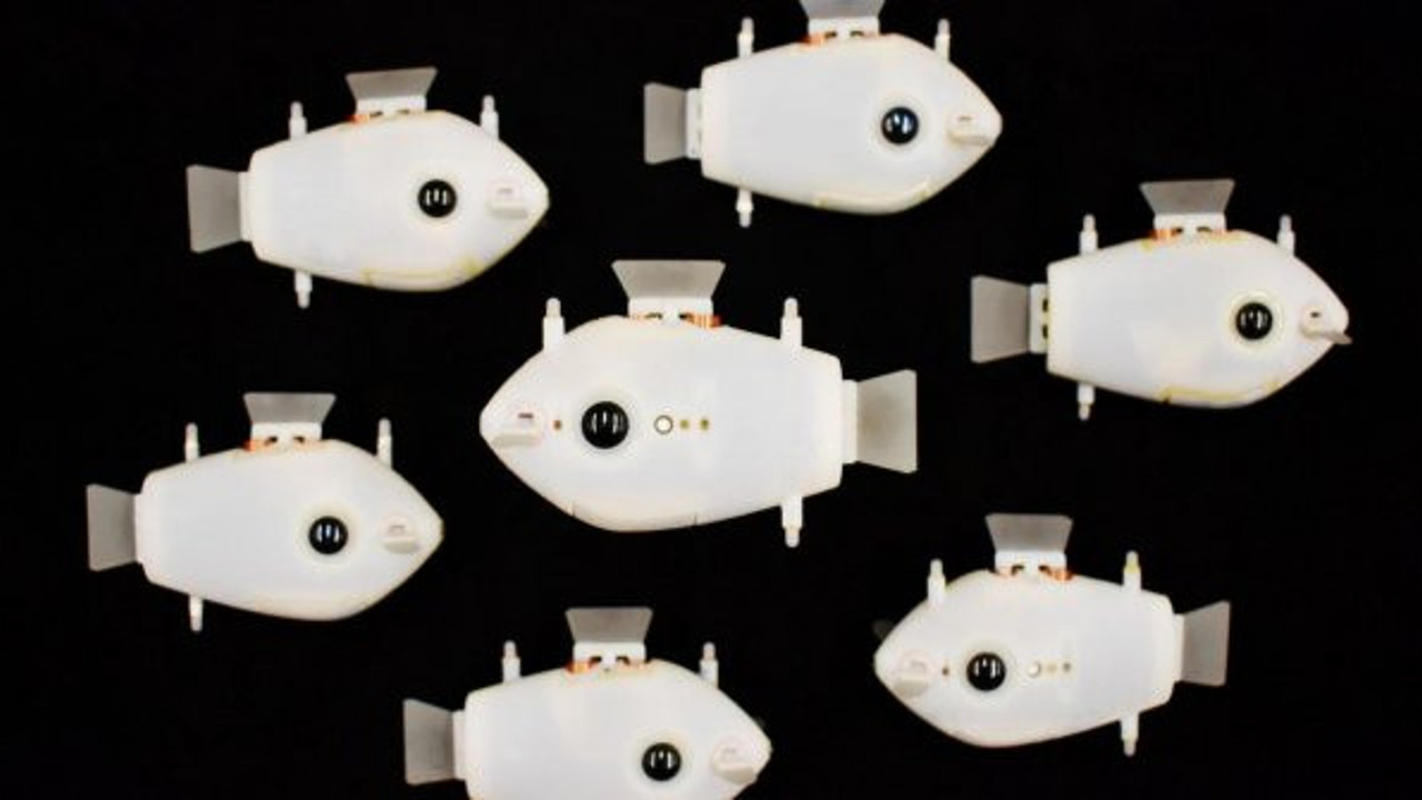 Bilim adamları resmen duyurdu. Artık suyun altındalar