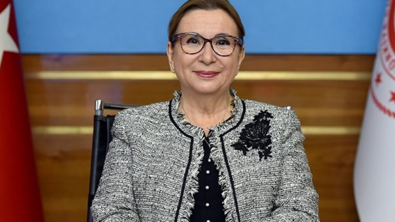 Bakan Pekcan 2020'de sınır kapılarından geçiş yapan ticari araç sayısını açıkladı